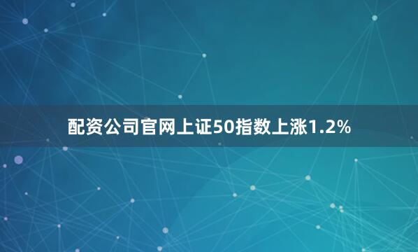 配资公司官网上证50指数上涨1.2%
