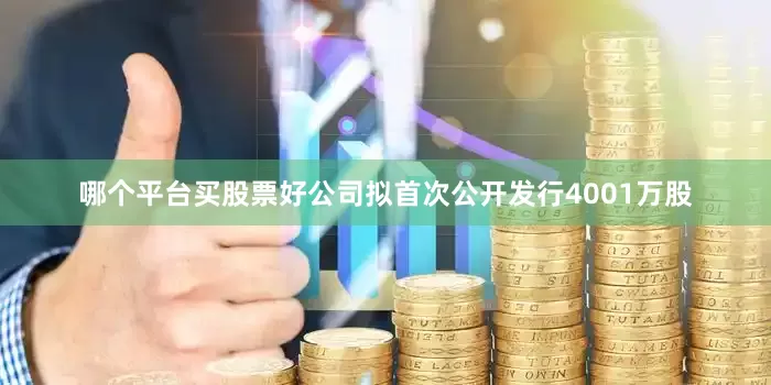 哪个平台买股票好公司拟首次公开发行4001万股