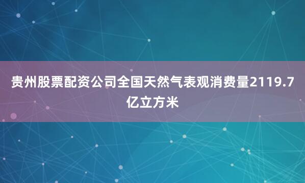 贵州股票配资公司全国天然气表观消费量2119.7亿立方米