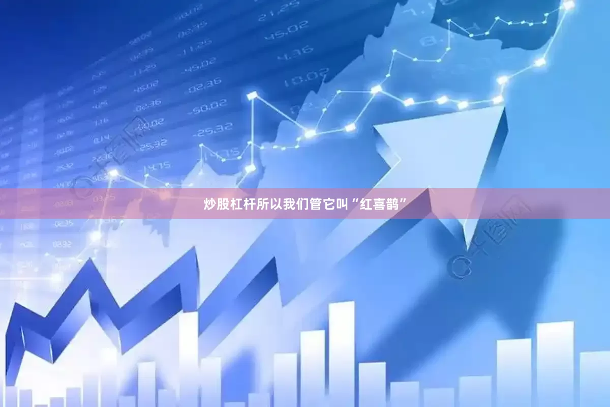 炒股杠杆所以我们管它叫“红喜鹊”