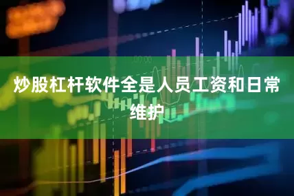 炒股杠杆软件全是人员工资和日常维护